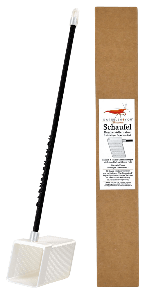 Product picture shrimp scoop